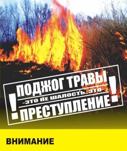 Нарушение правил пожарной безопасности в лесах..